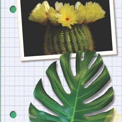 Ada Twist, Scientist: The Why Files #2: All About Plants!