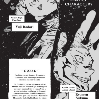 Jujutsu Kaisen 13 (English Edition)