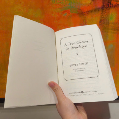 Sách - A Tree Grows In Brooklyn by Betty Smith - Tiểu thuyết tiếng Anh/Novel/Fiction