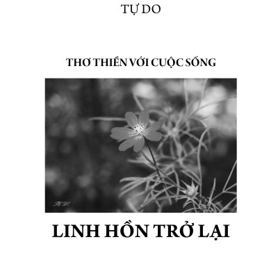Tập Thơ Linh Hồn Trở Lại - Tự Do