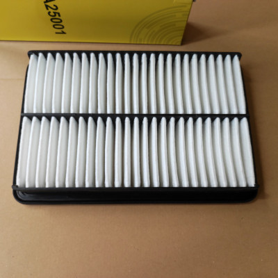 Lọc gió động cơ Mazda 6 2012-2018 - A25001