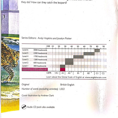 The Leopard and the Lighthouse: Easystarts