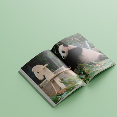 Nhật Ký Hạnh Phúc Của Công Chúa Fubao - Tặng Kèm Bookmark