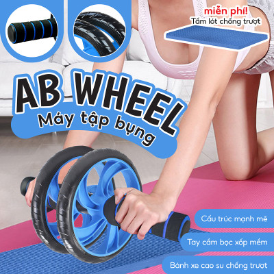 BG Con Lăn Tập Bụng 2 Bánh TDR100  + Thảm Lót ( hàng nhập khẩu)