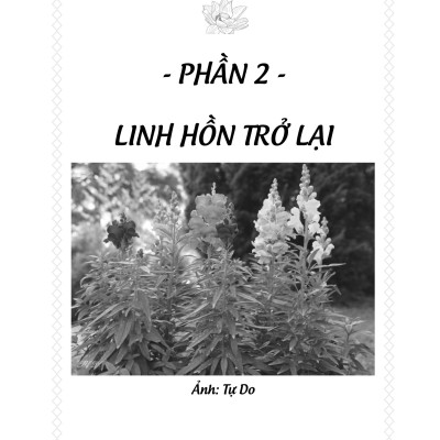 Tập Thơ Linh Hồn Trở Lại - Tự Do