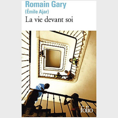 Tiểu thuyết đương đại tiếng Pháp - La Vie Devant Soi