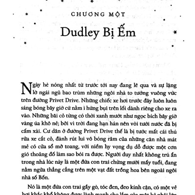 Sách: Harry Potter Và Hoàng Tử Lai - Tập 06