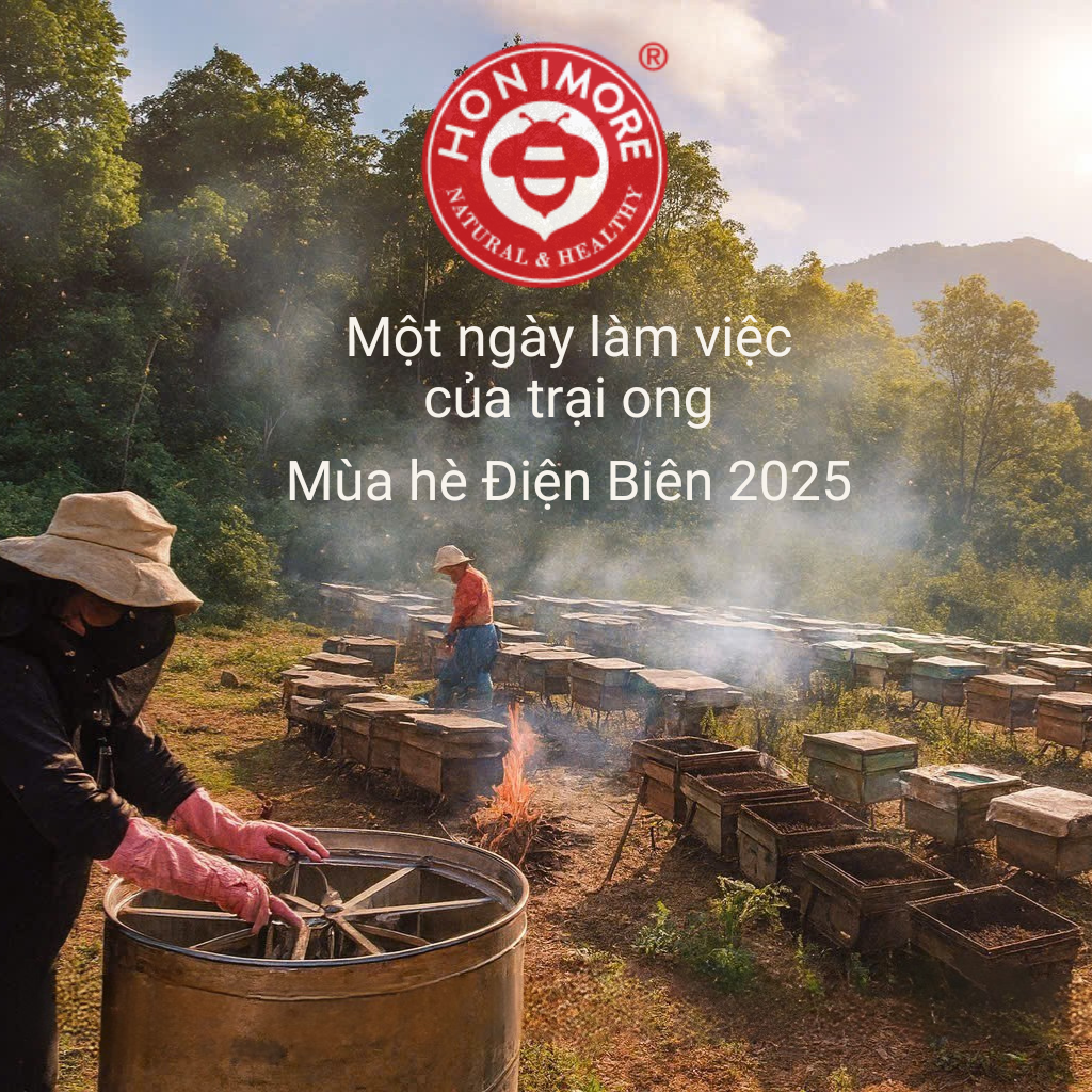 Combo Mật ong rừng Hoa Miền Núi - 100% mật ong chín Honimore 990g