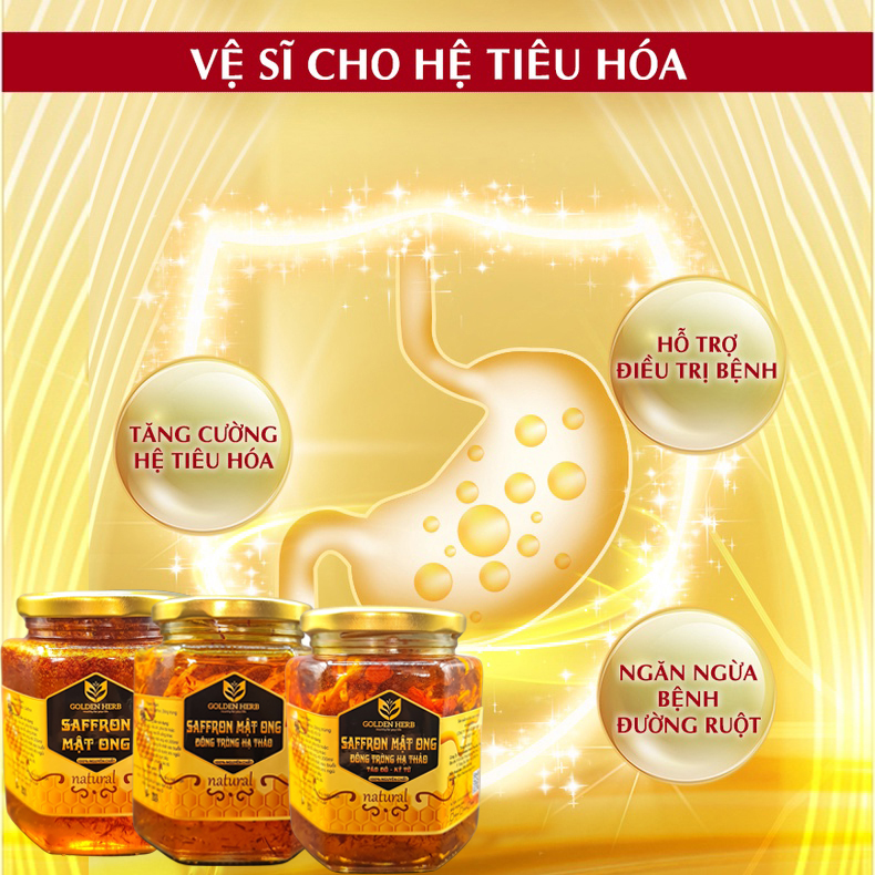 Mật Ong Saffron Đông Trùng Hạ Thảo Táo đỏ Kỷ tử 180ml/lọ Golden Herb