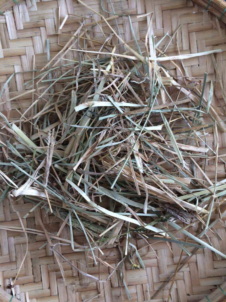 Dầu gội thảo mộc ngăn ngừa rụng tóc sau sinh