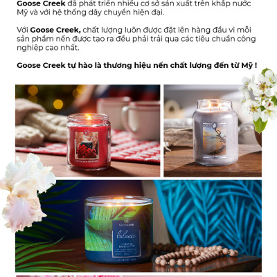 Nến ly 3 bấc Aromatherapy Goose Creek (411g) - Wildflower Ginger Tea