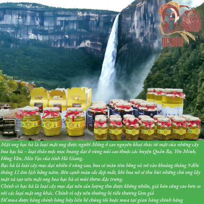 MẬT ONG BẠC HÀ OCOP HÀ GIANG CHÍNH HÃNG 1 LÍT, MẬT ONG PO MỶ ĐẶC SẢN CAO NGUYÊN ĐÁ HÀ GIANG