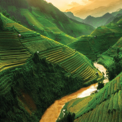 Mật ong rừng thượng hạng núi cao - 100% mật ong chín Mẹ Tiên Honimore 110g