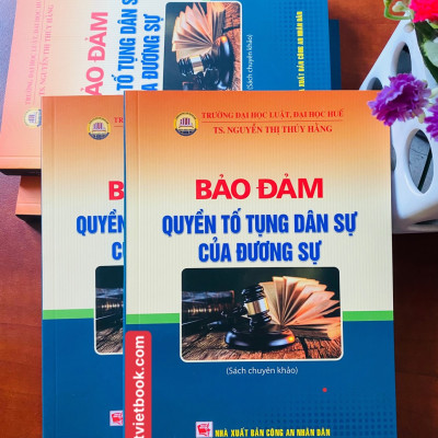 Bảo Đảm Quyền Tố Tụng Dân Sự Của Đương Sự