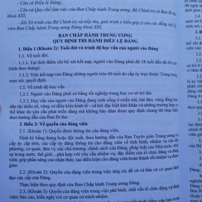 Sách Quy Định Thi Hành Điều Lệ Đảng năm 2025 - V2536D