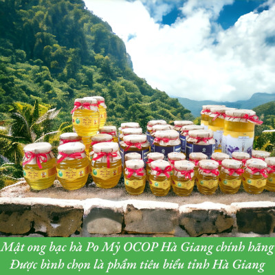 MẬT ONG BẠC HÀ OCOP HÀ GIANG CHÍNH HÃNG 1 LÍT, MẬT ONG PO MỶ ĐẶC SẢN CAO NGUYÊN ĐÁ HÀ GIANG