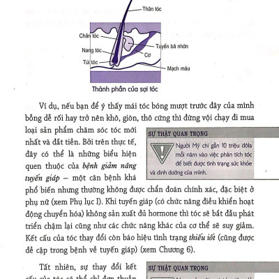 Những Biểu Hiện Của Cơ Thể