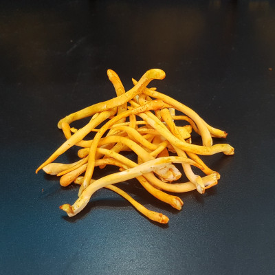 Mật ong Sợi Đông trùng hạ thảo Dr. Trung (300ml) - Loại Ngâm Sợi Sấy thăng hoa - Tăng sức đề kháng, hệ miễn dịch, ngăn lão hóa, , trẻ hóa làn da, hỗ trợ giảm ho, hen suyễn và cải thiện giấc ngủ