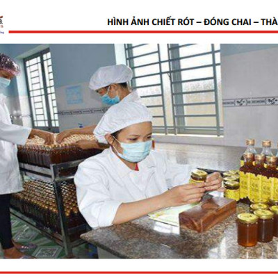 Mật ong 5 sạch Honeyboy 1KG