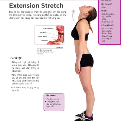 Giãn Cơ Bắp Thư Giãn Giảm Đau Nhức