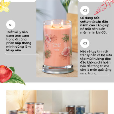 Nến ly tròn sáp đậu nành Yankee Candle size L (567g) - Catching Rays