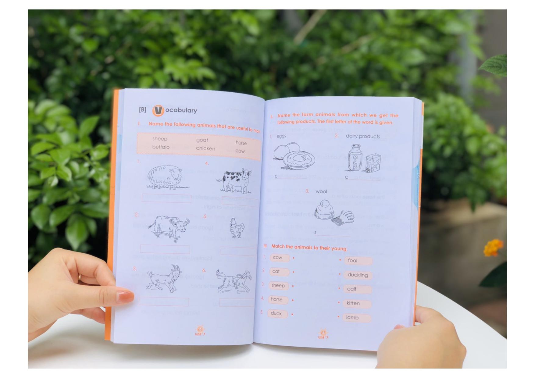 Learning English 1 - Wordbook