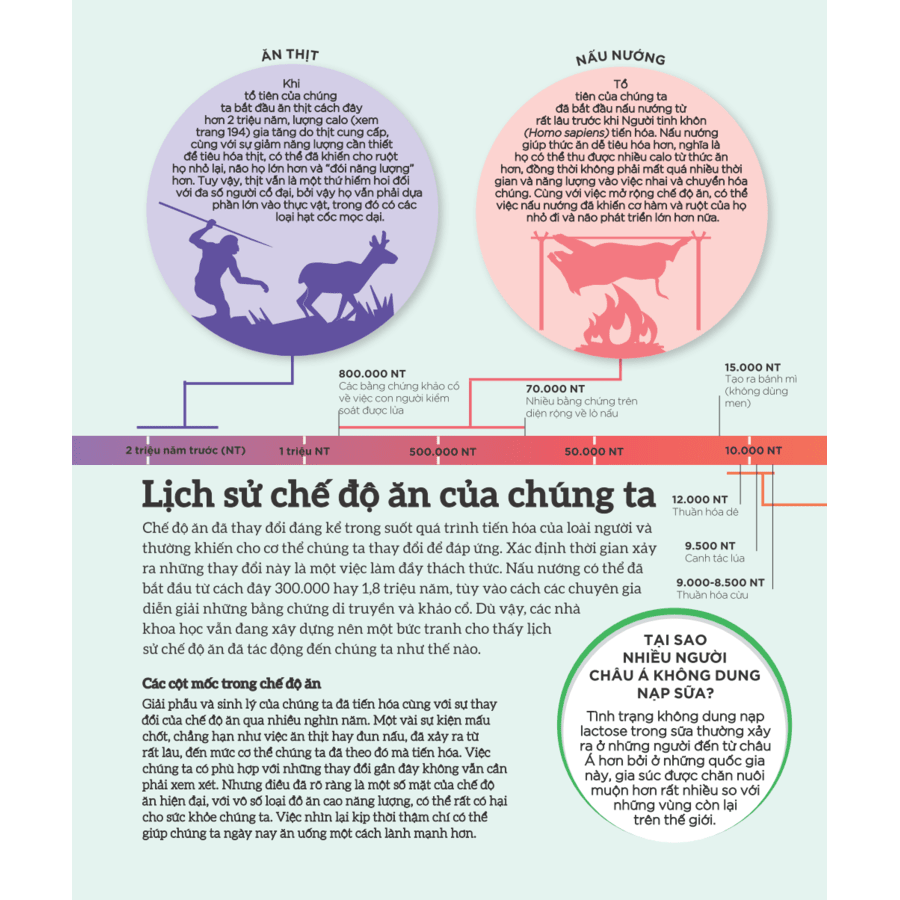 How Food Works - Hiểu Hết Về Thức Ăn