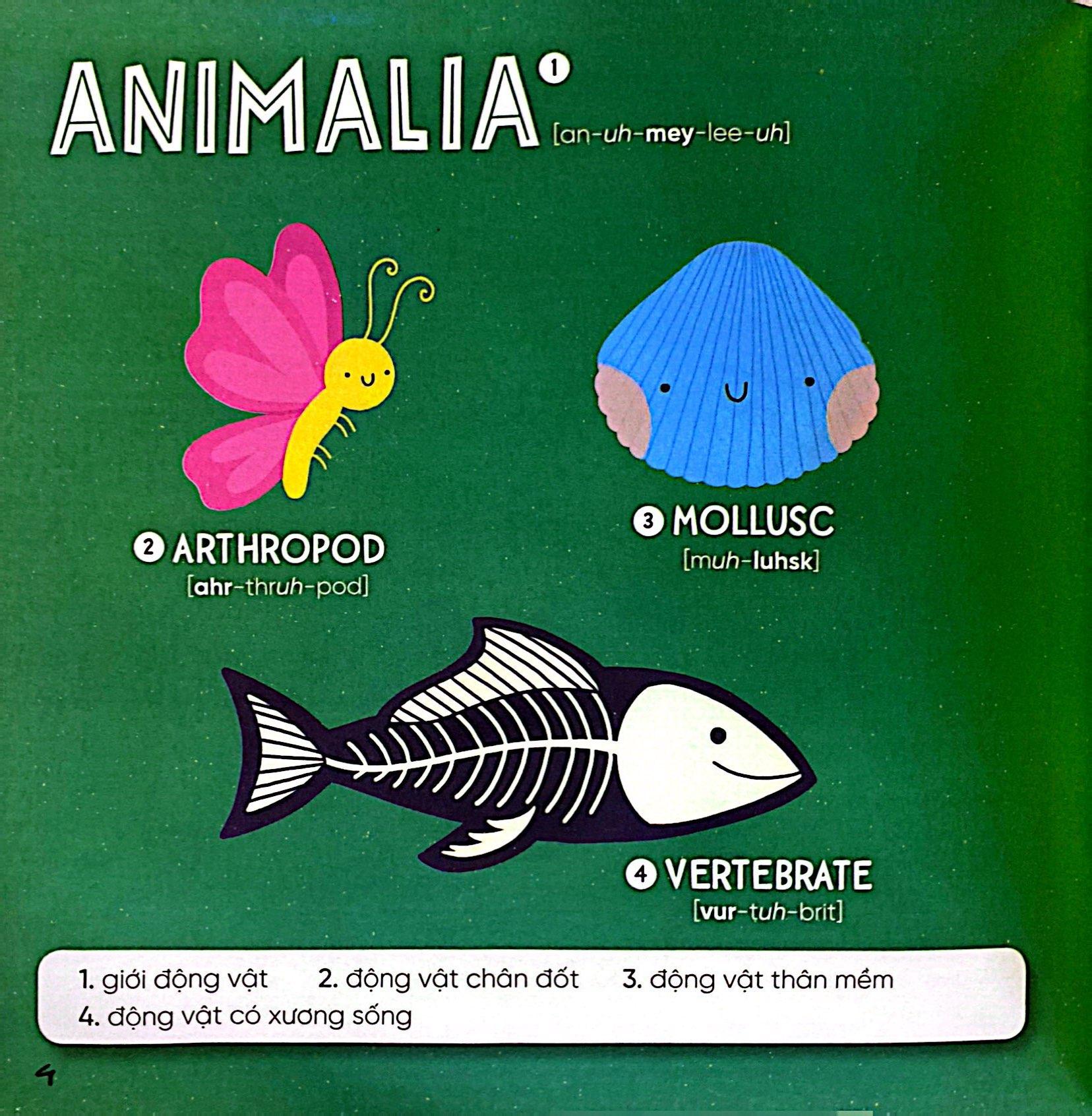 Steam Words Nature - Từ Vựng Về Tự Nhiên