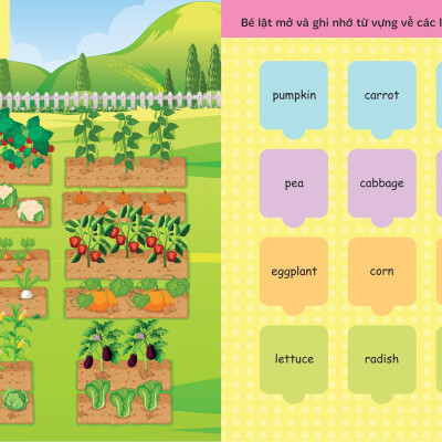 Lật Mở Từ Vựng Tiếng Anh Đầu Tiên Cho Bé - Cuốn 2