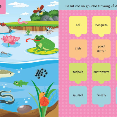 Lật Mở Từ Vựng Tiếng Anh Đầu Tiên Cho Bé - Cuốn 3