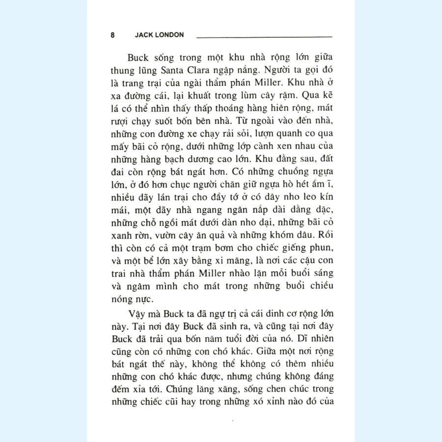 Sách - Tiếng Gọi Của Hoang Dã - Huy Hoàng