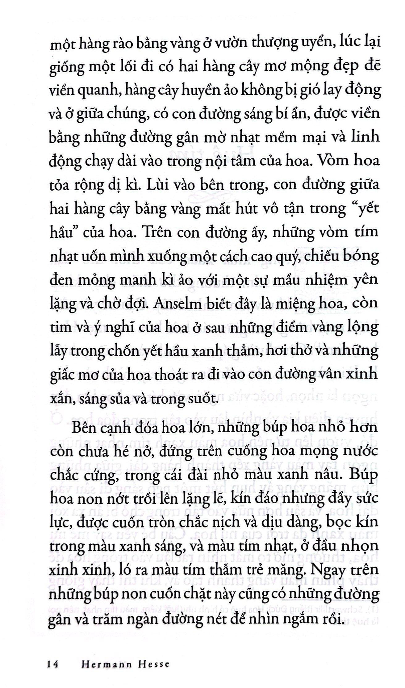 Sách - Tác Phẩm Chọn Lọc - Văn Học Đức - Huệ Tím (Tái Bản 2022)