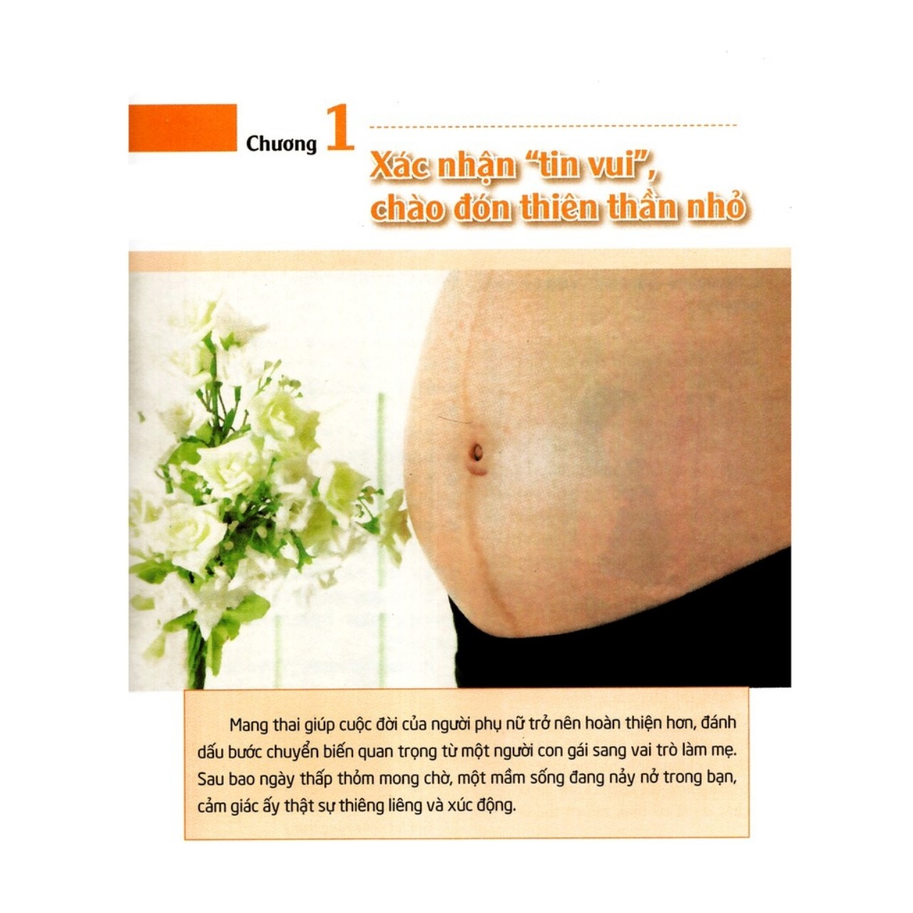 SÁCH - COMBO : TRI THỨC THAI SẢN BÀ BẦU CẦN BIẾT + MANG THAI THÀNH CÔNG + HÀNH TRÌNH THAI GIÁO