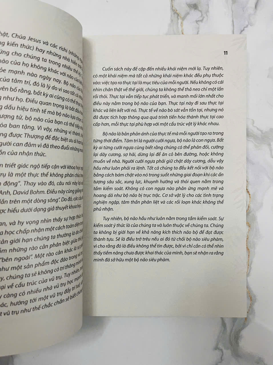 Bộ Não Siêu Phàm