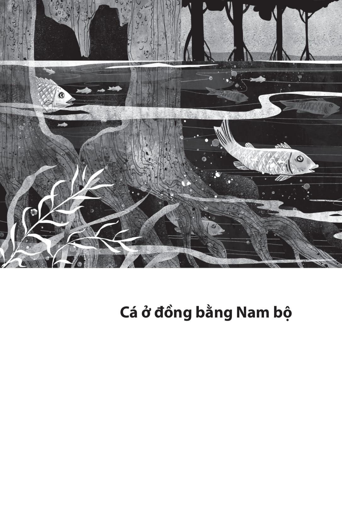 Sách - Những Chuyện Lạ Về Cá (Tái Bản 2025)