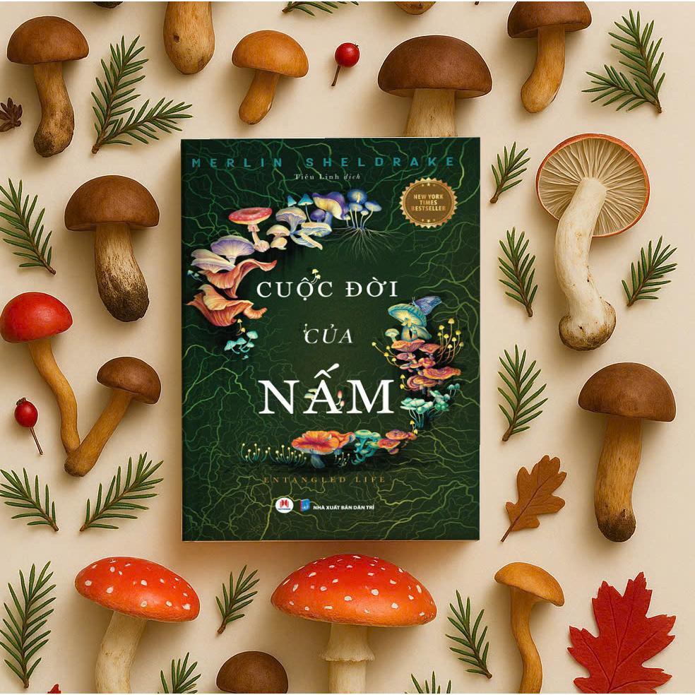 Sách - Cuộc Đời Của Nấm - Huy Hoàng Bookstore