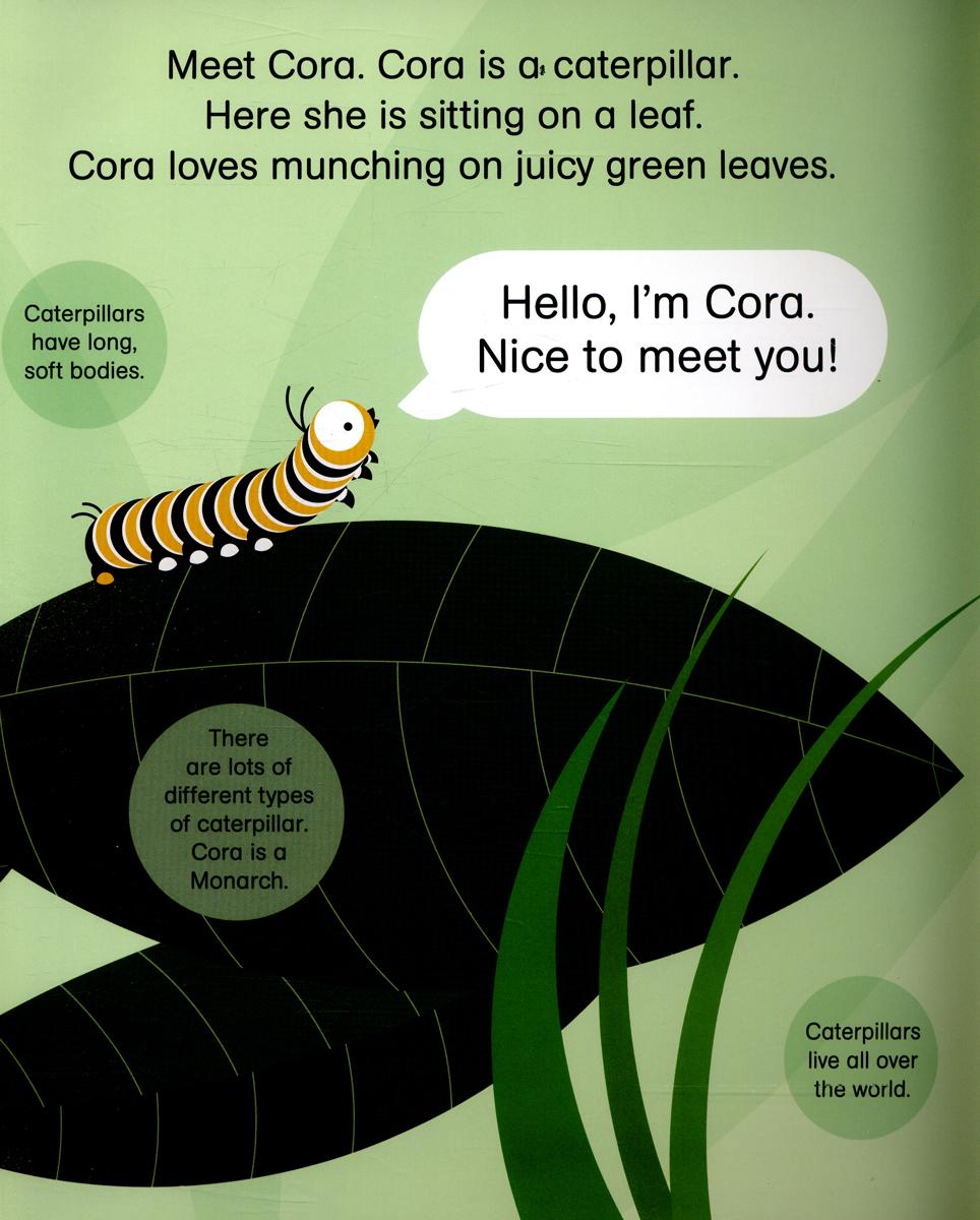 ROUNDS: CORA CATERPILLAR PB