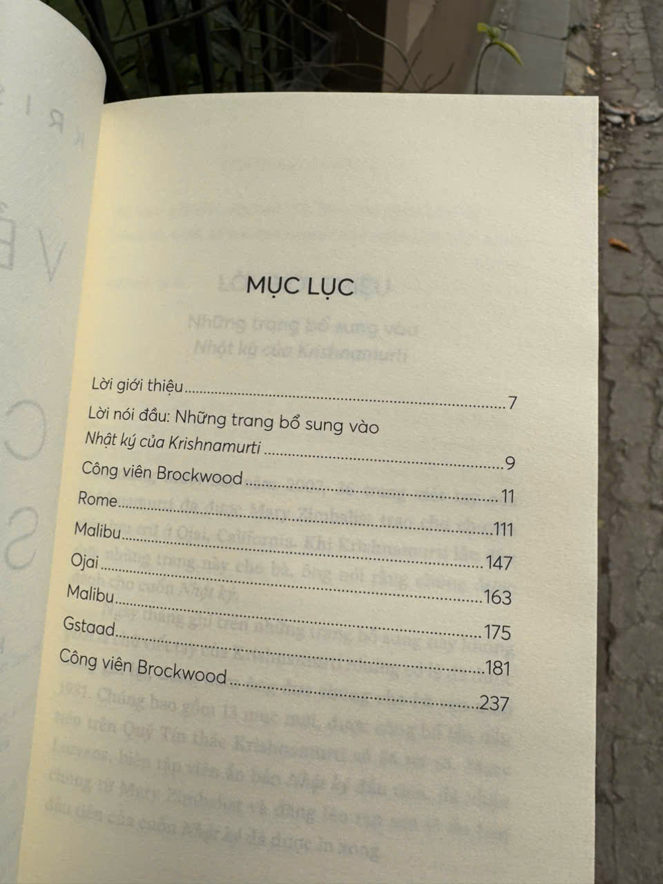 VẺ ĐẸP CỦA CUỘC SỐNG - J. Krishnamuti - Nguyễn Sỹ Khánh dịch - Nhã Nam