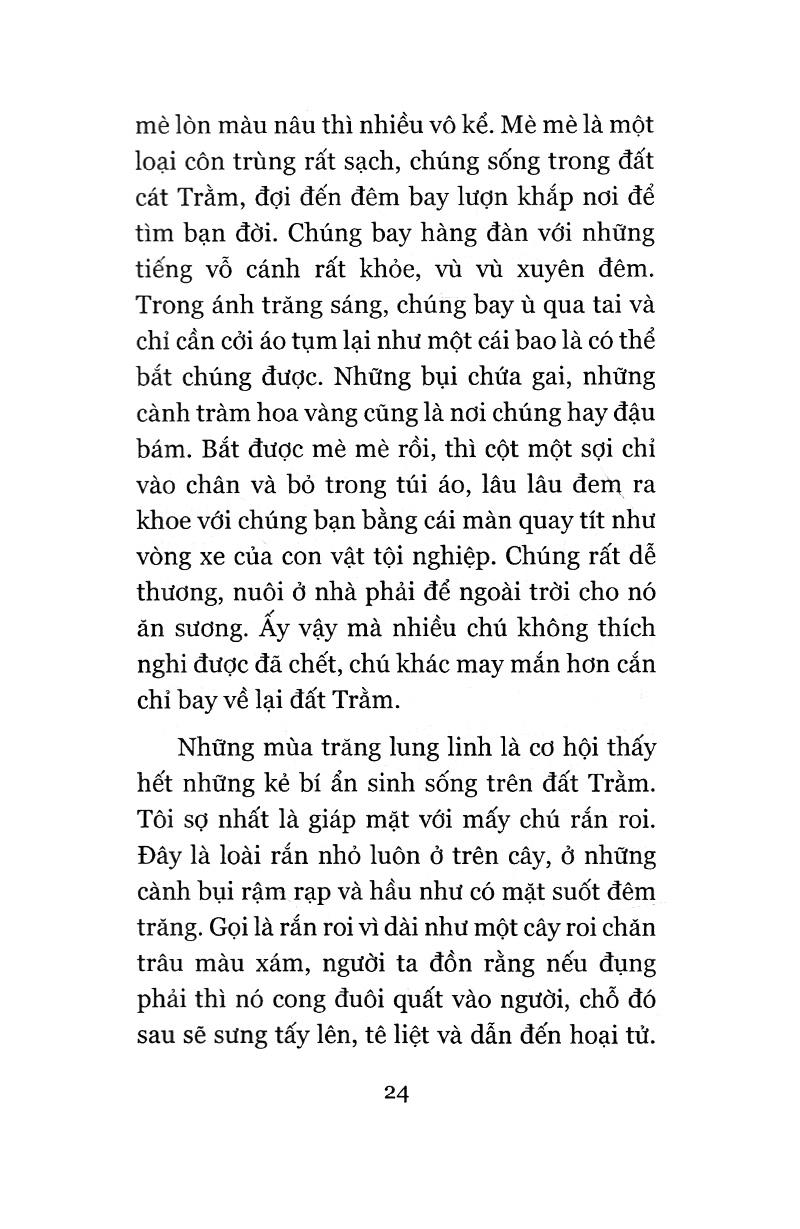 Đi Như Là Ở Lại (Tái Bản)