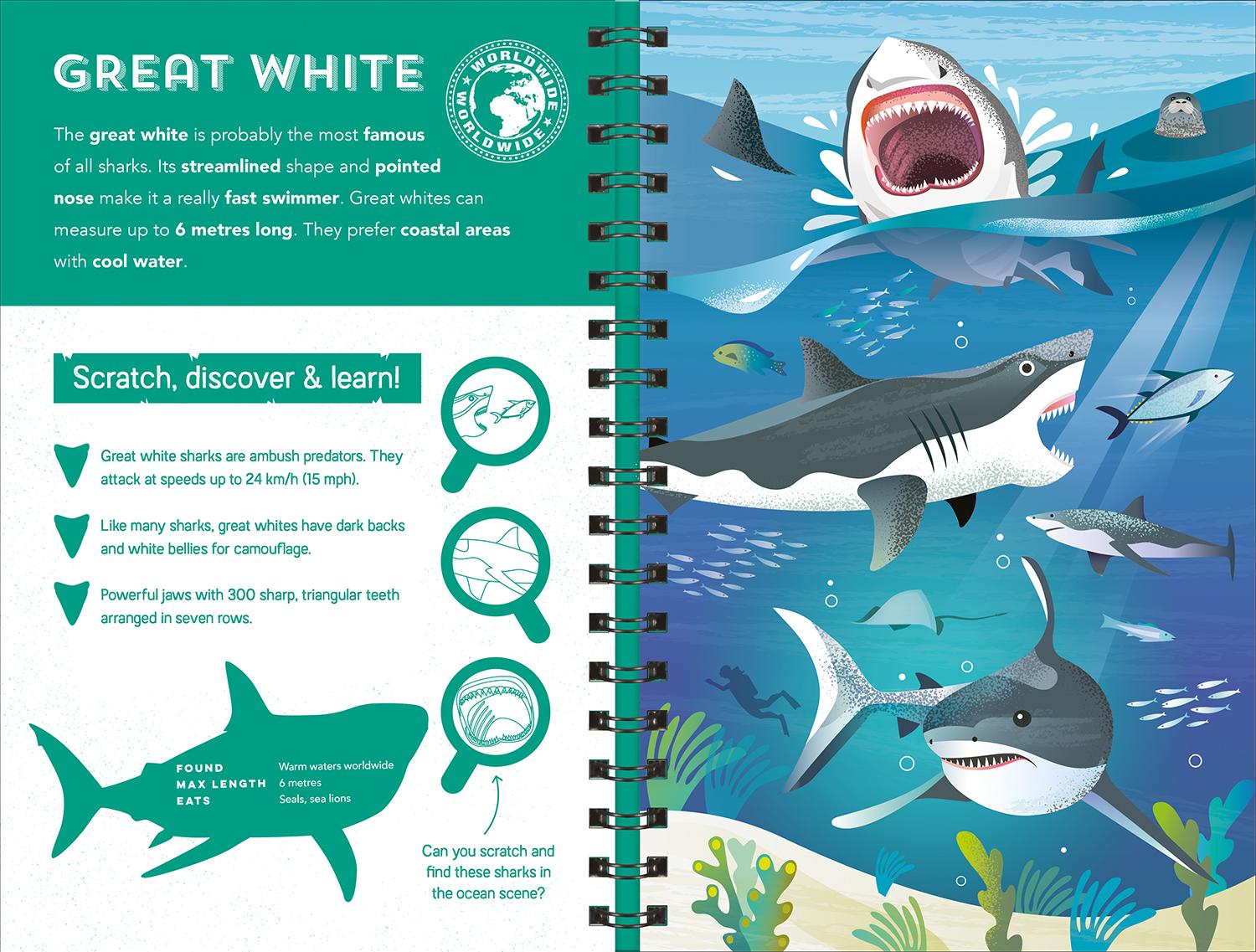Sharks (Scratch Discover & Learn)