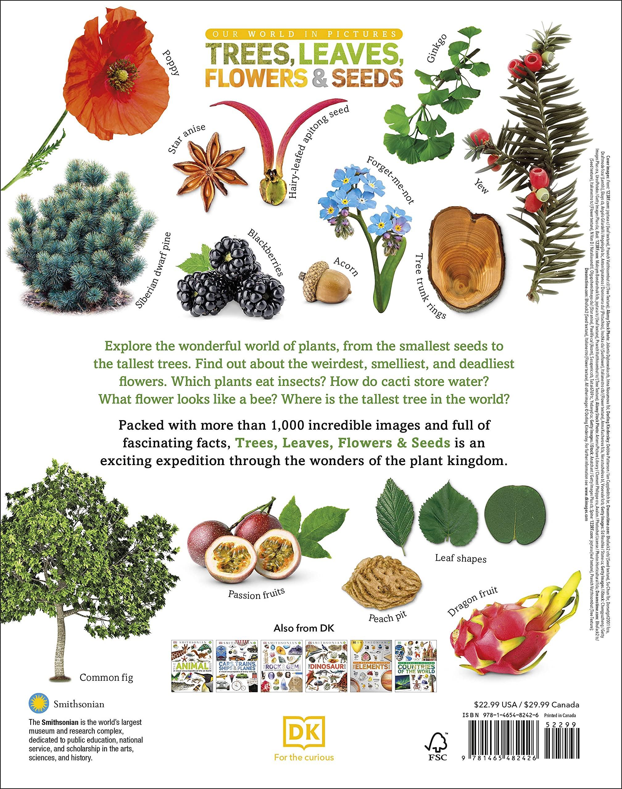 Trees, Leaves, Flowers And Seeds: A Visual Encyclopedia Of The Plant Kingdom