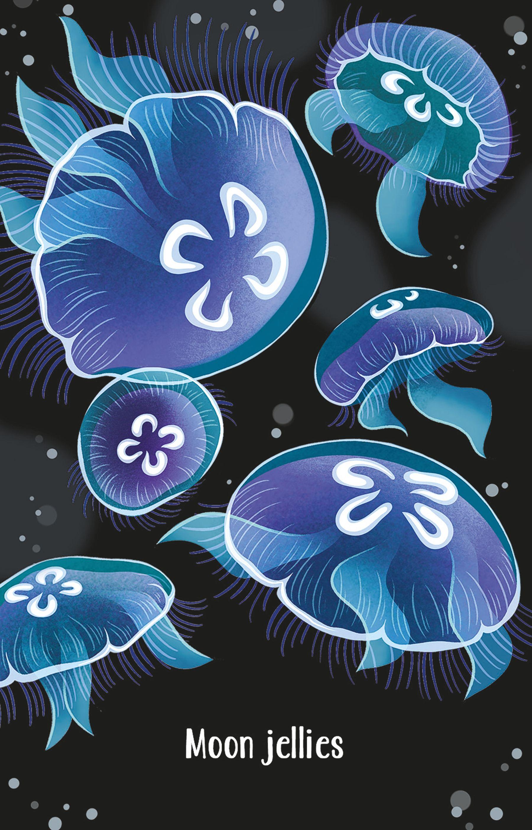 Aquarium Snap