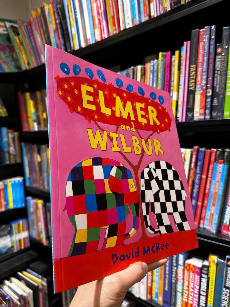 Sách - Elmer and Wilbur by David McKee - Sách ngoại văn, sách thiếu nhi tiếng Anh, bìa mềm, nhập khẩu UK
