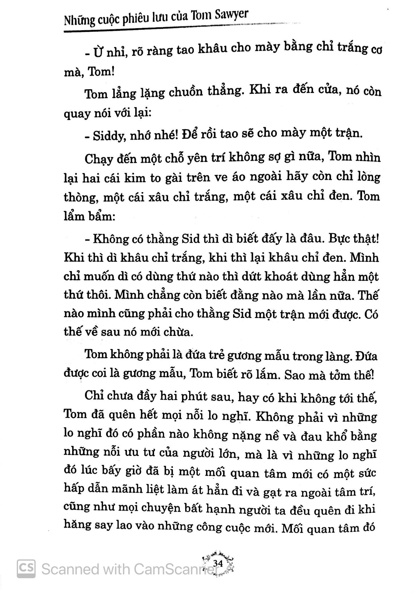 Những Cuộc Phiêu Lưu Của Tom Sawyer (Đinh Tị)