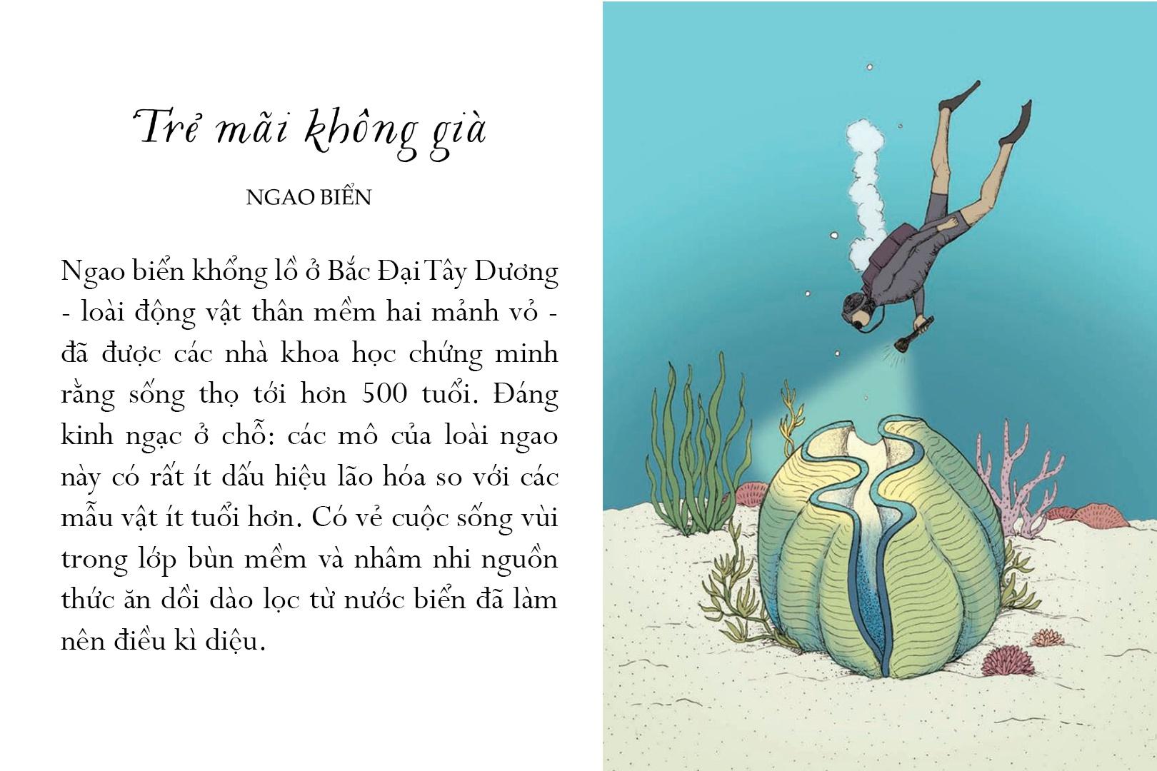 Sống Một Đời Tựa Biển Khơi - Những Bài Học Trí Tuệ Nhẹ Nhàng Sâu Lắng Của Đại Dương