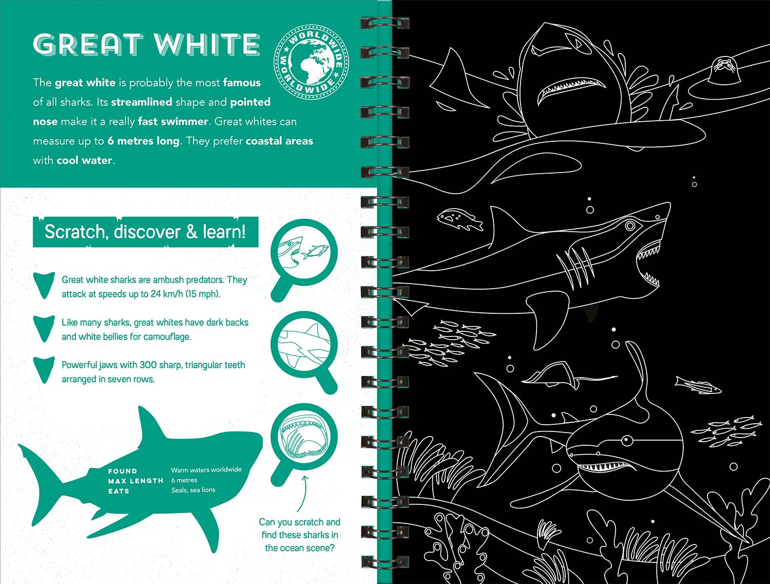 Sharks (Scratch Discover & Learn)