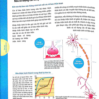 Dạy Con Kiểu Nhật - Giai Đoạn 0 Tuổi (Tái Bản)