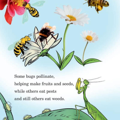 Hug A Bug: How YOU Can Help Protect Insects (Dr. Seuss