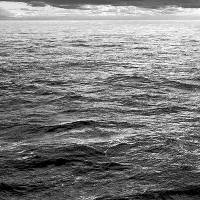 Dr. STONE 17 (ジャンプコミックス)