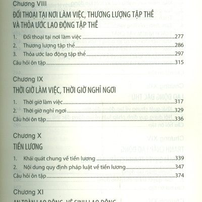 Giáo Trình Luật Lao Động Việt Nam - PGS.TS. Lê Thị Hoài Thu - (bìa mềm)